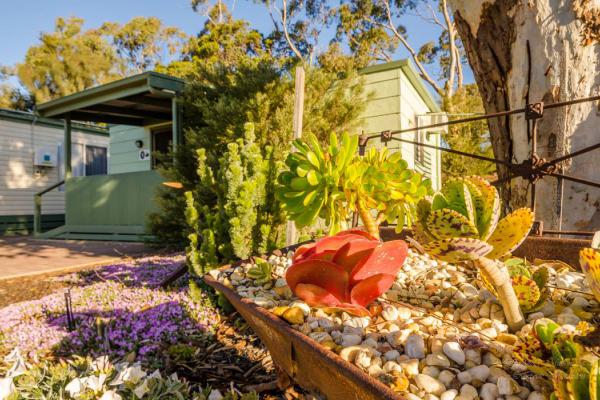 Meningie Accommodation Swan 5 Garden Coorong CABINS